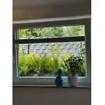 With 1 Bedroom Apartment